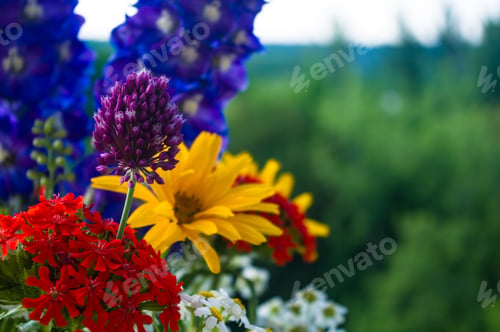 Preview: A Bouquet Of Bright Spring Flowers Of Various Types