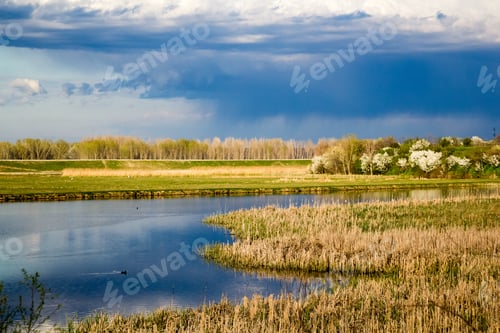 Preview: Landscape With Waterline, Reeds Birds And Vegetation