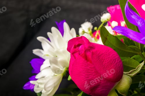 Preview: Background For A Greeting Card - Beautiful Gift Bouquet Of Various Colorful Decorative Summer