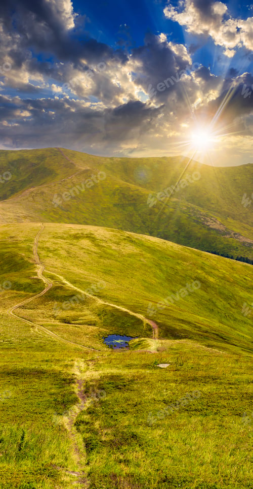 Preview: High Wild Grass And Purple Flowers At The Top Of The Mountain At Sunset