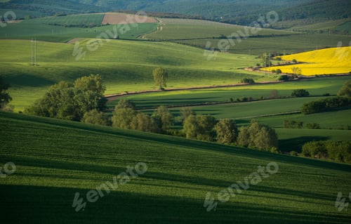 Preview: Beautiful Landscape Of South Moravia