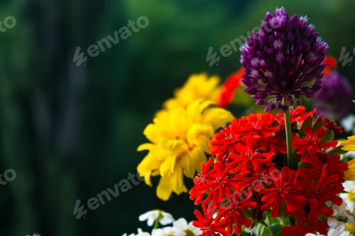 Preview: A Bouquet Of Bright Spring Flowers Of Various Types