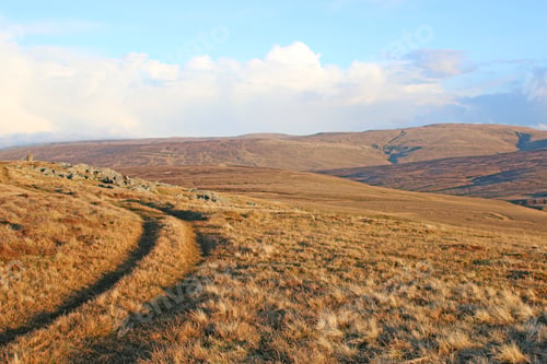Preview: Nateby Common In The Yorkshire Dales, England