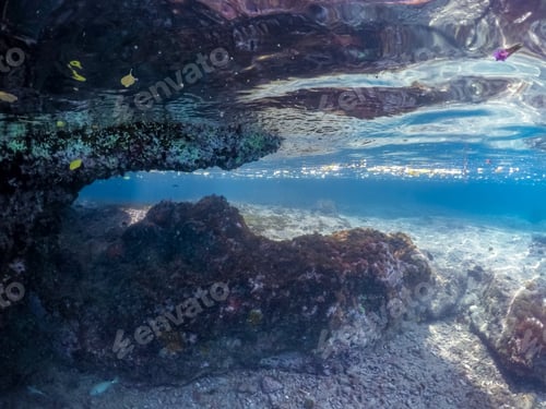 Preview: Snorkelling With Turtles Views Arund The Small Caribbean Island Of Curacao