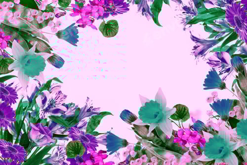 Preview: Bright Colorful Flowers Isolated On A Pink Background. Greeting Card