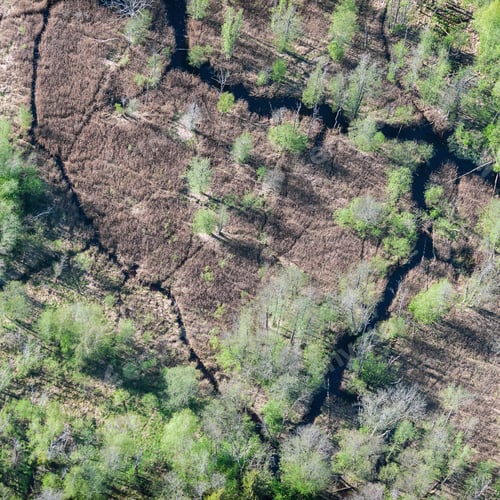 Preview: Aerial View Over The Swampy Area