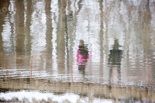 Preview: Winter Landscape In The Park With Water Texture From The Lake And Reflexions Of The Trees And