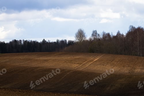 Preview: Processed Cereal Fields In Spring