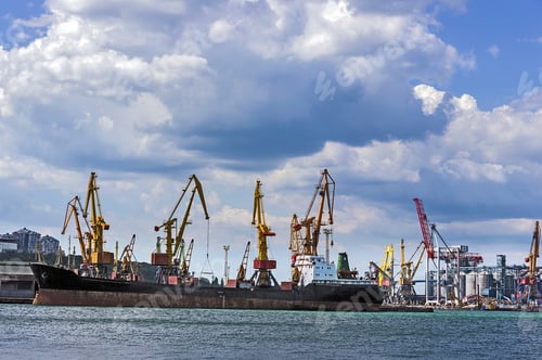 Preview: Sea Cargo Cranes. Odessa