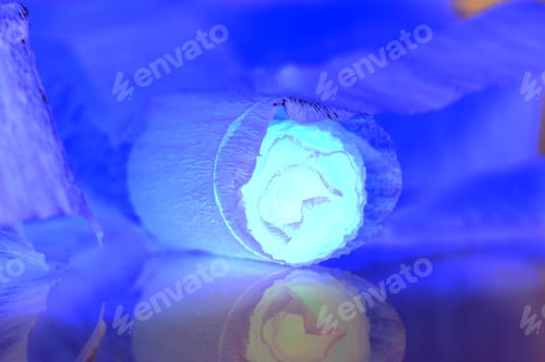 Preview: Colorful Abstract Composition With Crepe, Lights And Shadows (Inverted Colors)