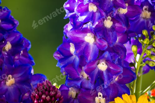 Preview: A Bouquet Of Bright Spring Flowers Of Various Types