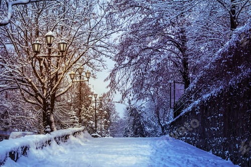 Preview: Part Of The Pedestrian Road Going Up With The Curb And Lanterns Covered With Snow At Night
