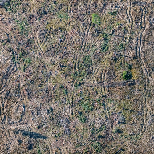 Preview: Aerial View Over The Deforested Area