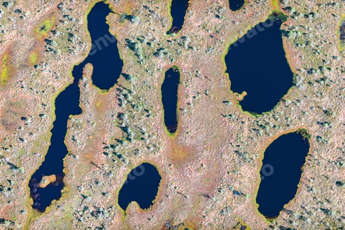 Preview: Aerial View Over The Swamp And Vegetation