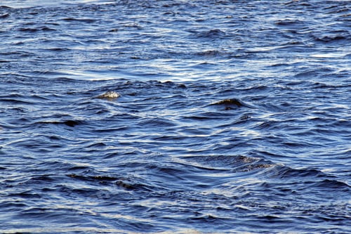 Preview: Surface Of The Water With Small Waves
