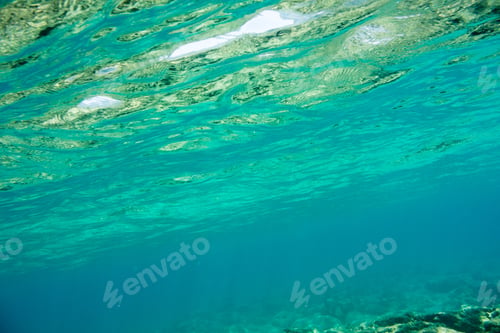 Preview: Underwater Texture And Fauna In Ionian Sea, Zakynthos, Greece