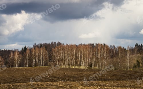 Preview: Processed Cereal Fields In Spring