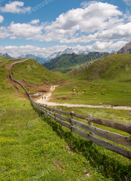 Preview: Hiking In The Meadows Of The Dolomites Mountains In Italy.