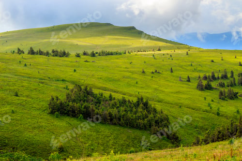 Preview: Mountain Summer Landscape. Pine Trees Near Meadow And Forest On Hillside Under Sky With Clouds