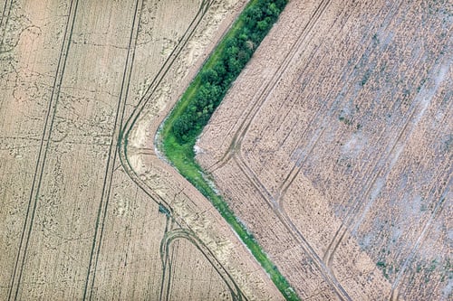 Preview: Aerial View Over The Rural Fields