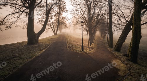 Preview: Mystic Forest Path On An Autumn Morning