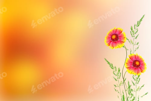 Preview: Colorful Rudbeckia Flowers On A Background Of The Autumn Landscape. Nature
