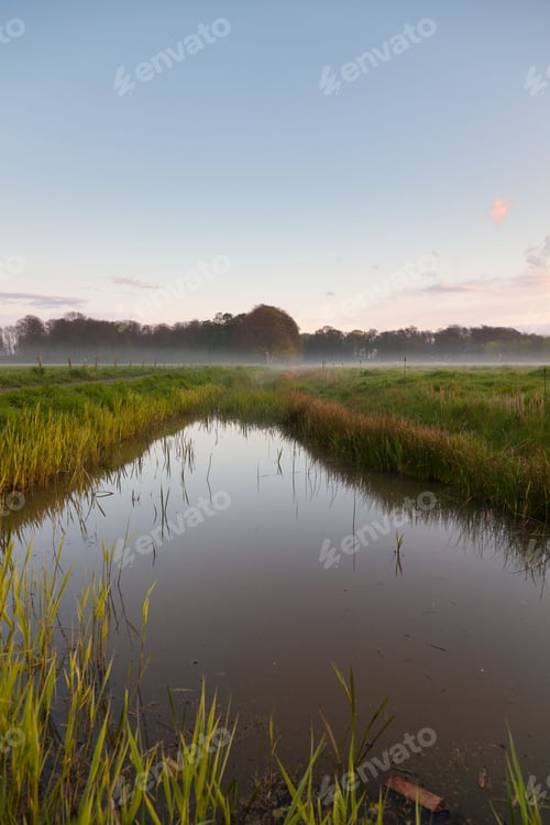 Preview: Meadow With Canal In The Mist At Sunset. Holland. The Netherlands.