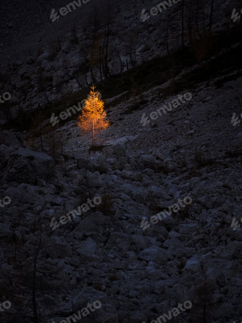 Preview: Autumn In The Julian Alps