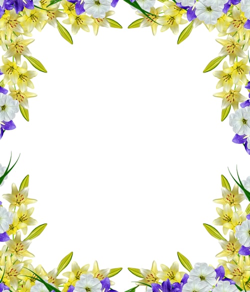 Preview: Lily Flowers Isolated On White Background