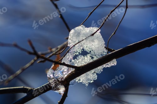 Preview: Beautiful Snowy Branches