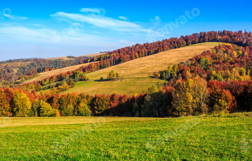 Preview: Mountain Rural Area In Late Autumn Season. Agricultural Field On A Hill Near The Forest With Red