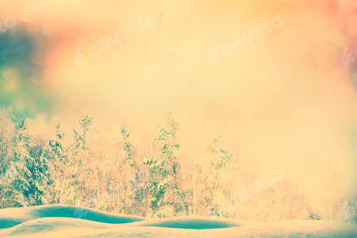 Preview: Blurred Background. Frozen Winter Forest With Snow Covered Trees.