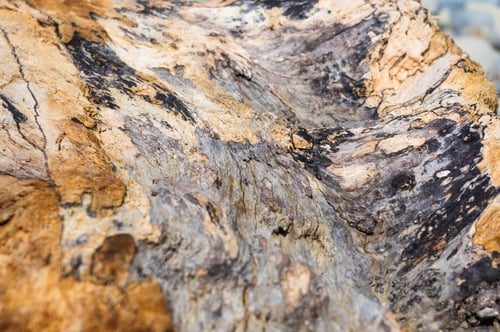 Preview: Driftwood, Washed Up By The Sea On A Pebble Beach