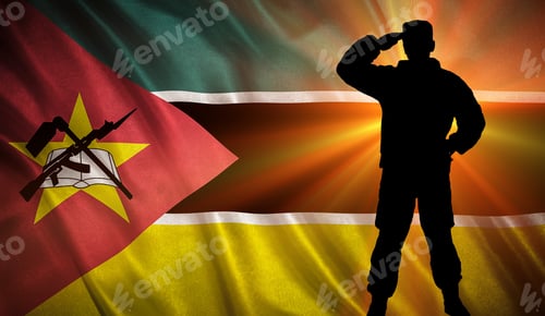 Preview: Flag With Original Proportions. Flag Of The Mozambique