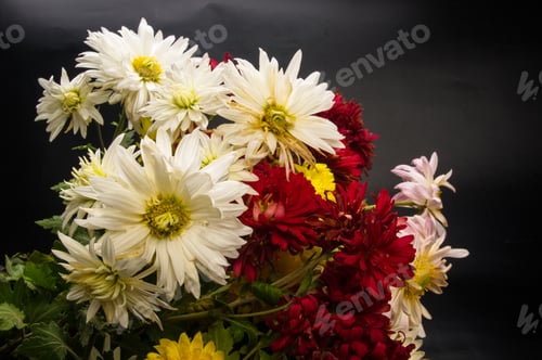 Preview: Bouquet Of Colorful Autumn Flowers On A Black Background