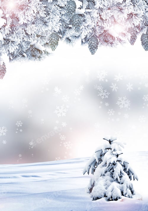 Preview: Winter Forest. Winter Landscape.