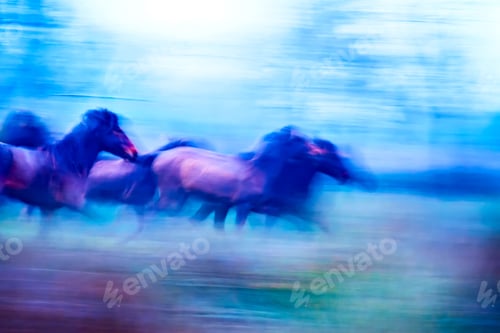 Preview: Running Wild Horses. Motion Blur Background. Abstract Nature And Animals Photos.