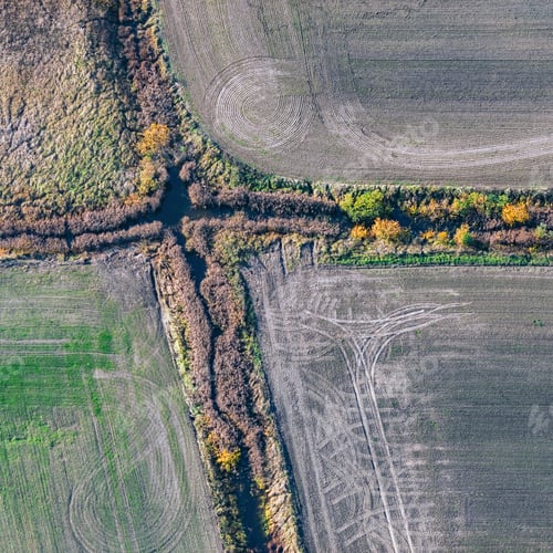 Preview: Aerial View Over The Colourful Trees And Fields In Autumn