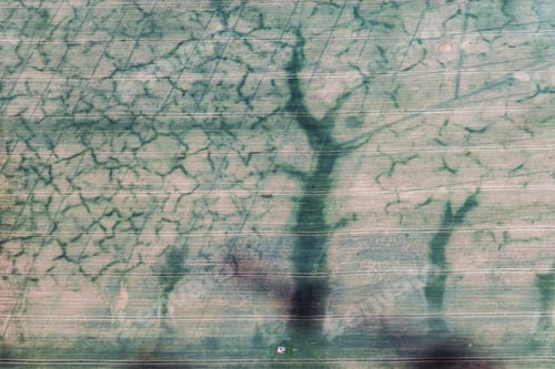 Preview: Aerial View Over The Rural Fields