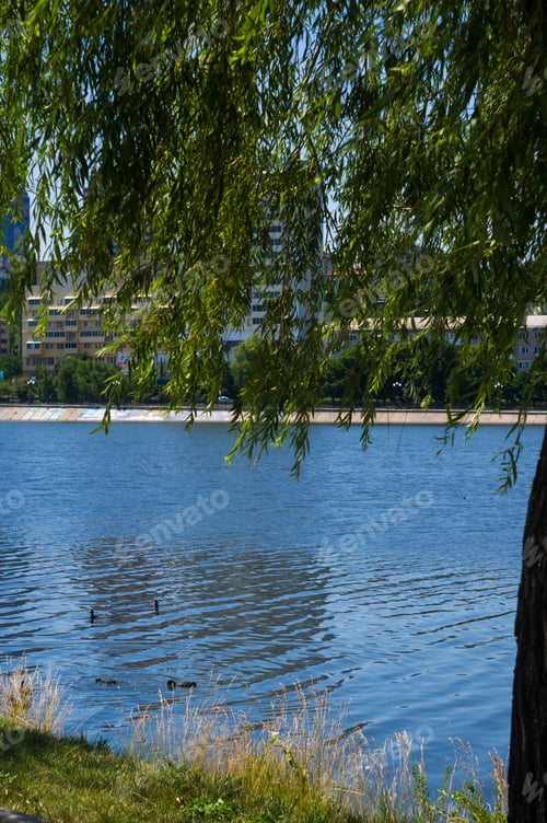 Preview: City Park Spring