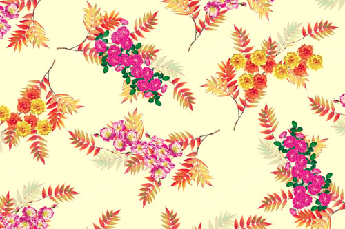 Preview: Flower Buds Of Roses Isolated On Yellow Background. Rowan