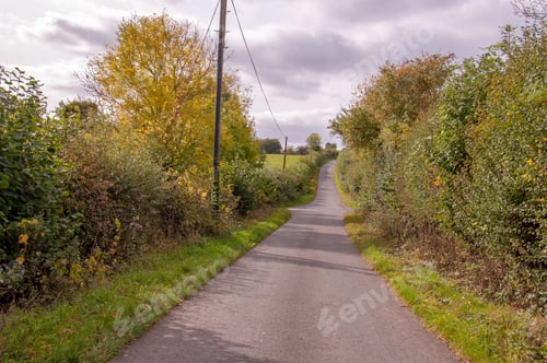 Preview: Autumn Lane In The English Countryside.