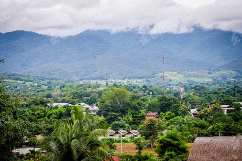 Preview: North Thailand Countryside - Rice Fields