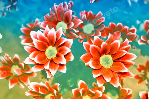 Preview: Colorful Chrysanthemum Flowers On A Background Of The Autumn Landscape