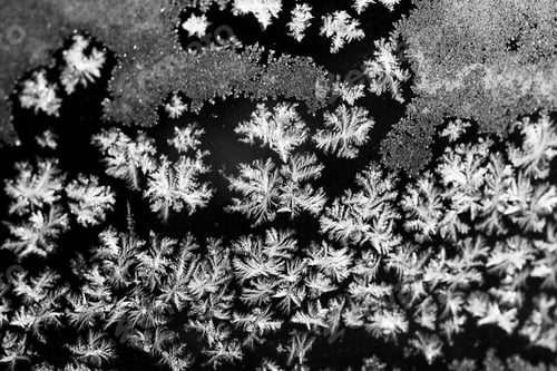 Preview: Ice Flowers On Glass - Texture