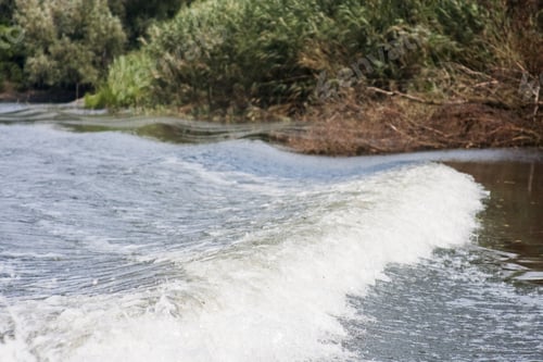 Preview: Danube Delta Landscape - Romania