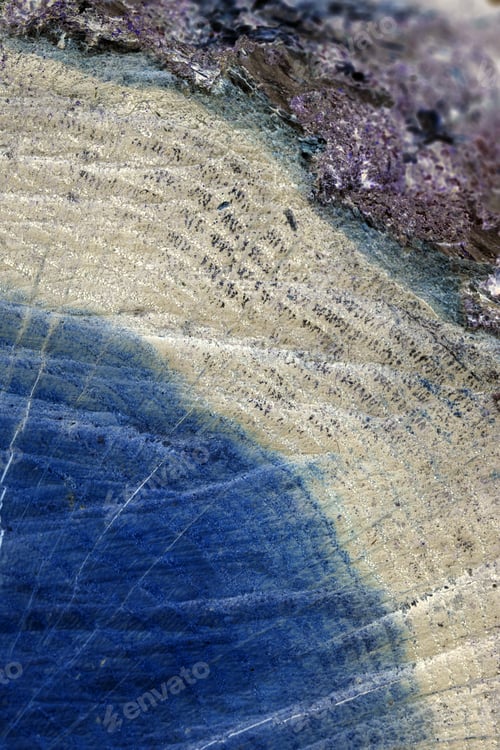 Preview: Abstract Composition With Wood Texture From Tree Trunks With Scratches And Cracks And Inverted