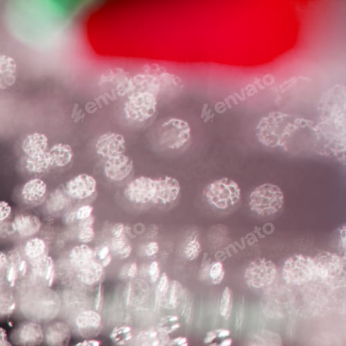 Preview: Abstract Composition With Underwater Tubes With Colorful Jelly Balls Inside And Bubbles