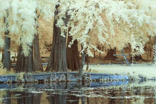 Preview: Infrared Landscape And Details