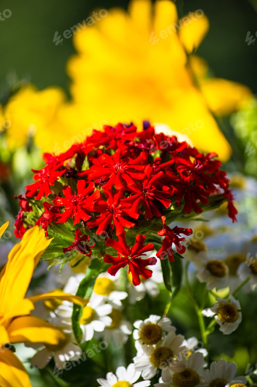 Preview: A Bouquet Of Bright Spring Flowers Of Various Types
